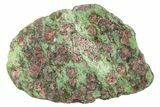 Pyrope, Forsterite, Diopside & Omphacite Slice - Norway #265168-1